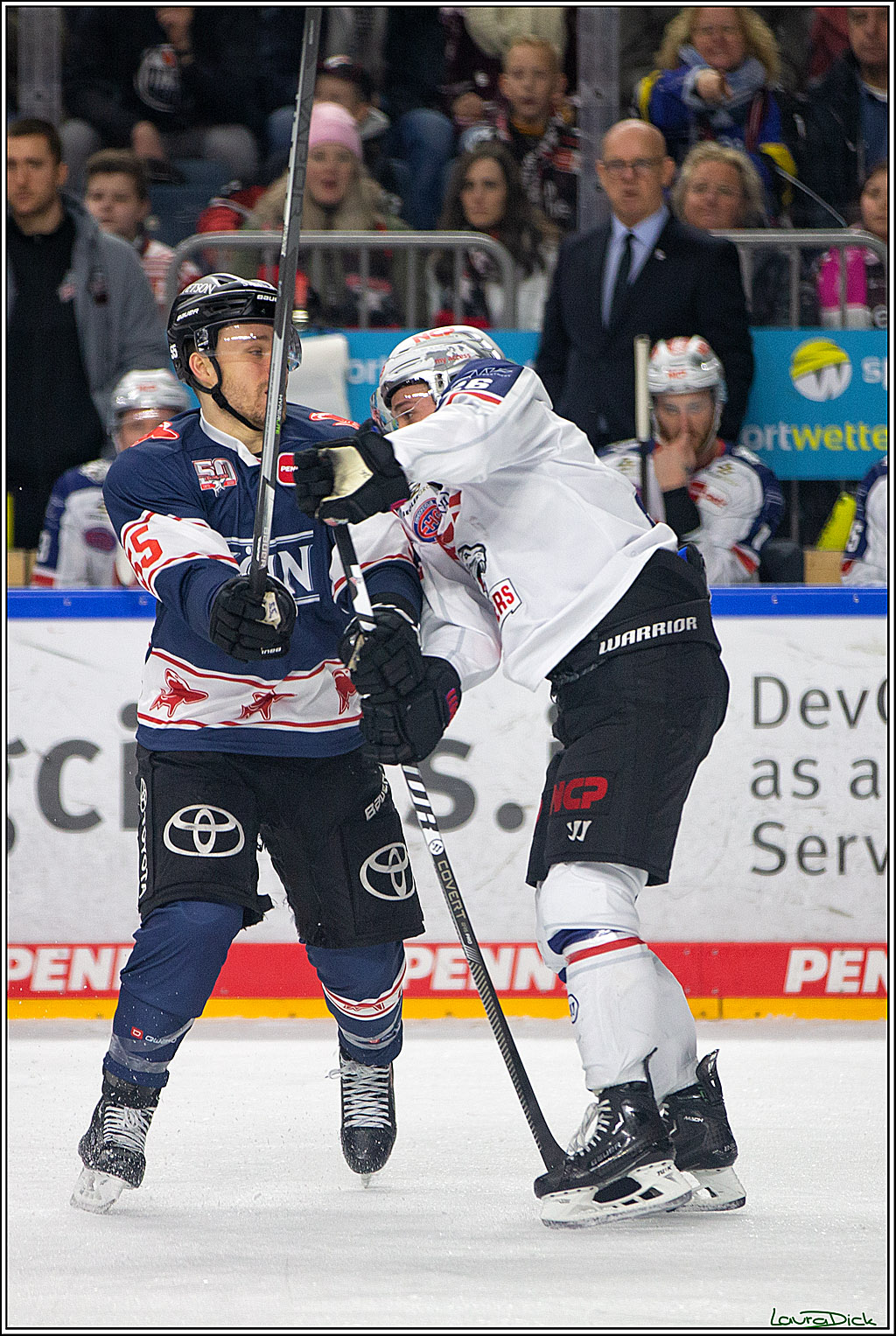PENNY DEL; Koelner Haie- Nuernberger Ice Tigers; Koeln, 29.01.2023